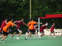 Handball_team04.jpg