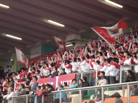 DSC04154.JPG