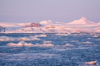 257_20180402_Floating ice at Kings Bay.jpg