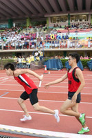 Form7_1600Relay.jpg