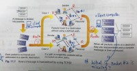 ch17 Protocols (1)