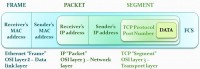 frame packet datagram