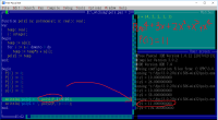 polynomial01